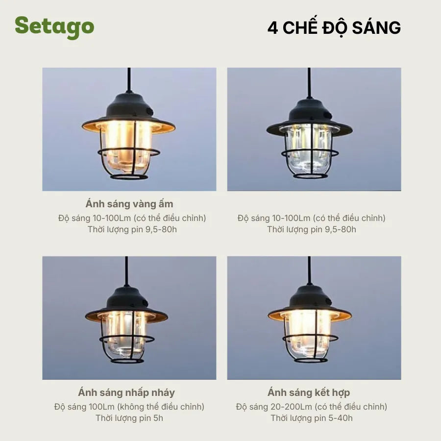 DTCyberbee3 - Setago Travel & Outdoor