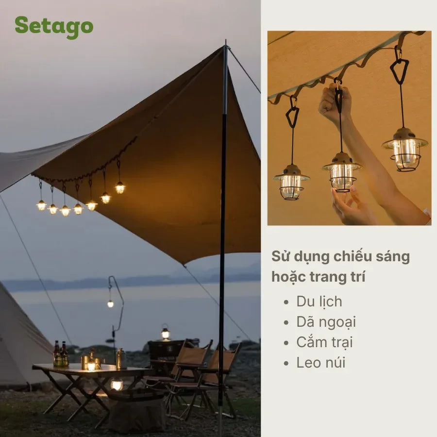 DTCyberbee5 - Setago Travel & Outdoor