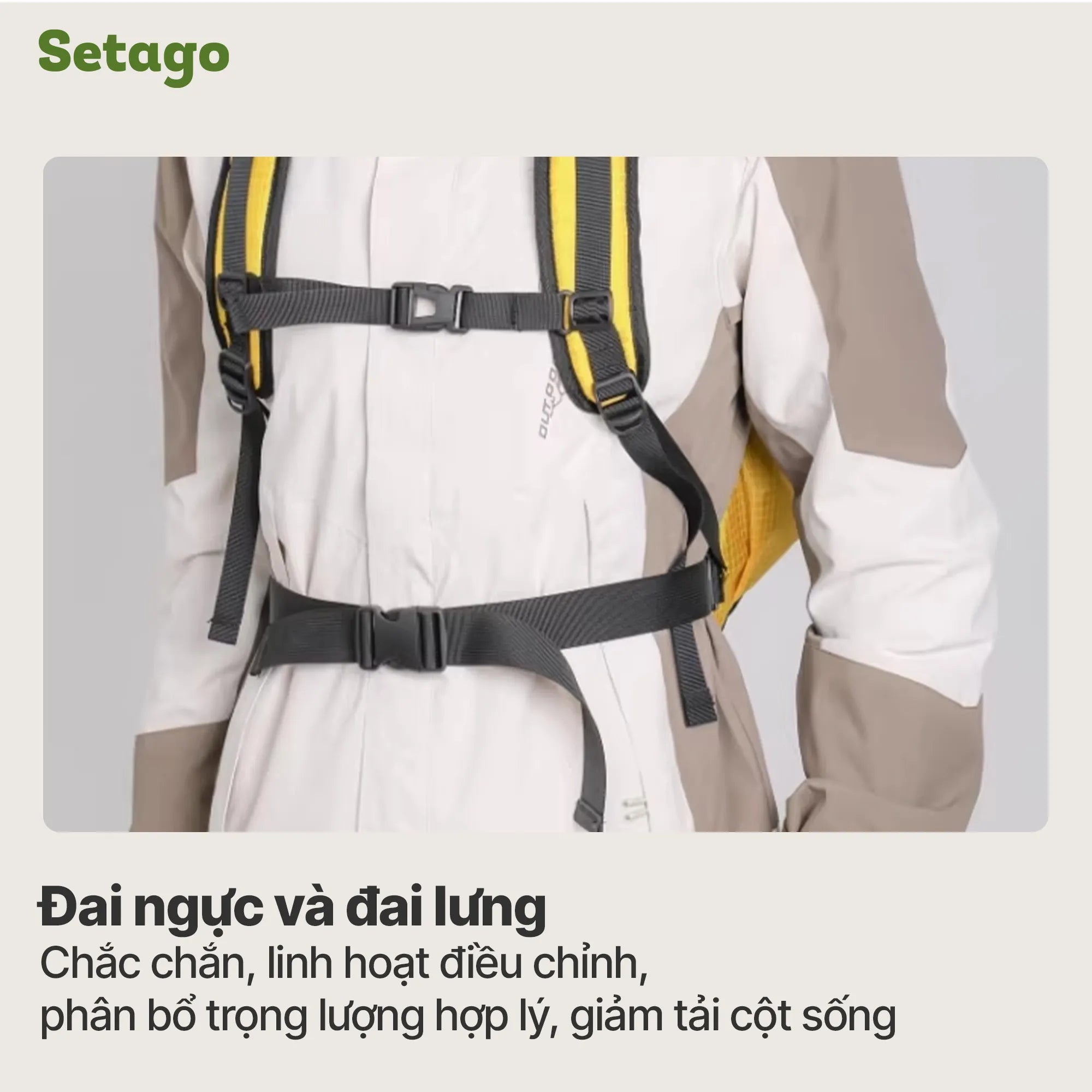 he-thong-dai-nguc-dai-lung-tro-luc-balo - Setago Travel & Outdoor