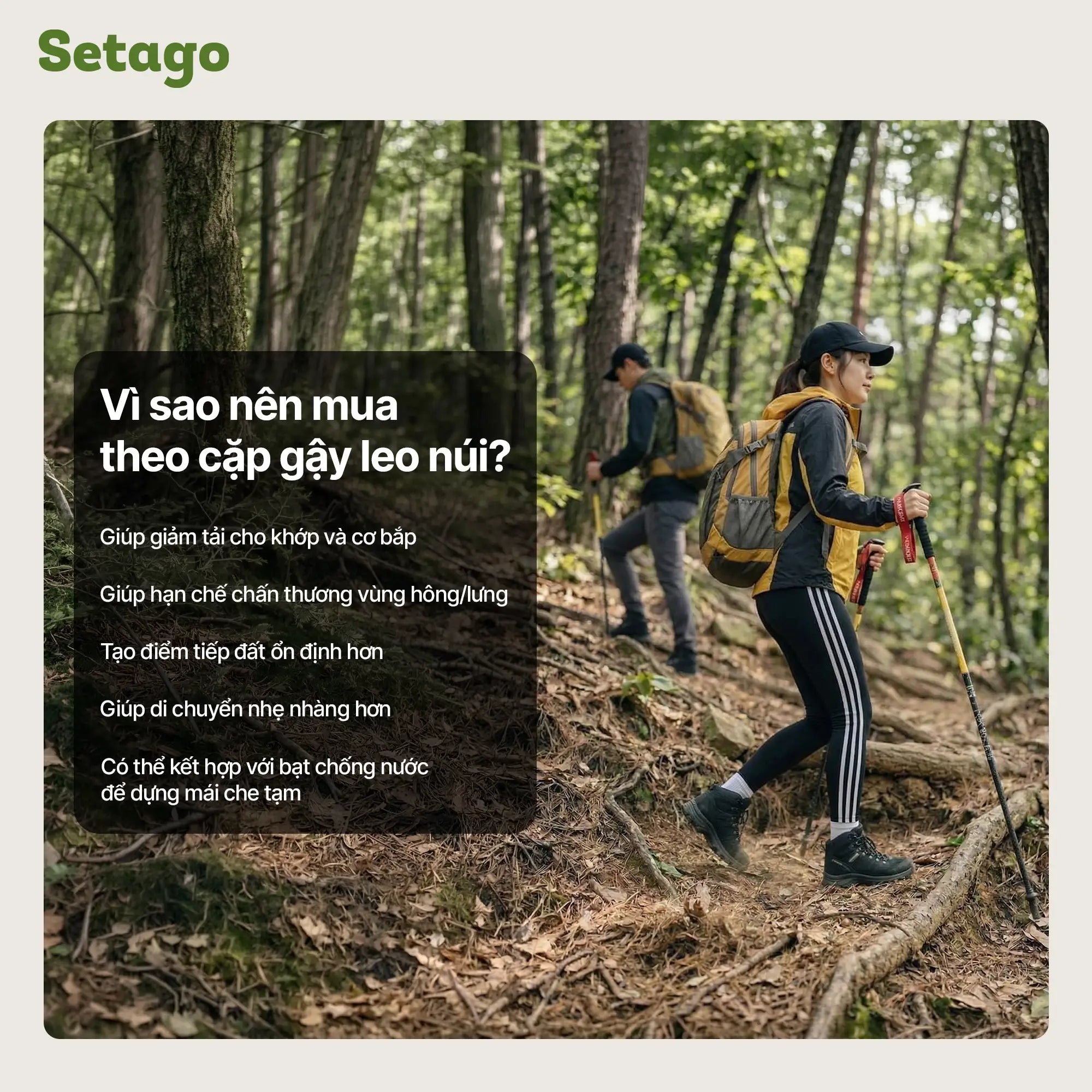 ly-do-nen-mua-theo-cap-gay-leo-nui - Setago Travel & Outdoor